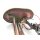Mazda MX-5 NA Kraftstoffpumpe Tankgeber BPE8
